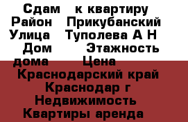 Сдам 2-к квартиру › Район ­ Прикубанский › Улица ­ Туполева А.Н. › Дом ­ 3 › Этажность дома ­ 5 › Цена ­ 13 000 - Краснодарский край, Краснодар г. Недвижимость » Квартиры аренда   